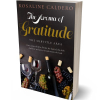 Tablet view of Thunder #10595 - Premade Travel Book Cover