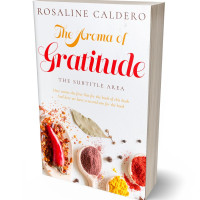 Tablet view of Thunderbird #10598 - Premade Travel Book Cover