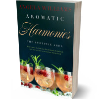 Tablet view of Firefly #10626 - Premade Travel Book Cover