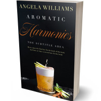 Tablet view of Black #10629 - Premade Travel Book Cover | BookCoverZone