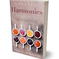 Tablet view of Thatch #10632 - Premade Travel Book Cover