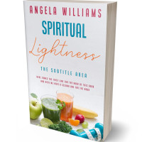 Tablet view of Mischka #10660 - Premade Health & Mind & Body Book Cover