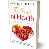 Tablet view of Persian Red #10681 - Premade Health & Dieting & Fitness Book Cover