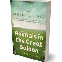 Tablet view of Coriander #10790 - Premade Fantasy Book Cover