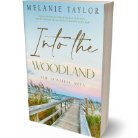 Tablet view of Geyser #10963 - Premade Travel Book Cover