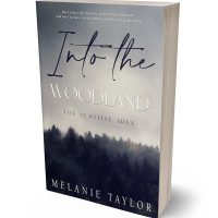 Tablet view of Cloudy #10964 - Premade Fantasy Book Cover