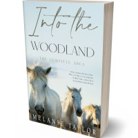 Tablet view of Geyser #10965 - Premade Travel Book Cover