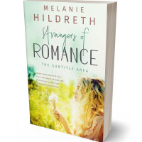 Tablet view of Loafer #10991 - Premade Romance Book Cover | BookCoverZone