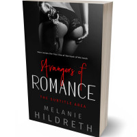 Tablet view of Cod Gray #11056 - Premade Erotica Book Cover