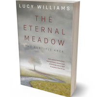 Tablet view of Dawn #11084 - Premade Surreal Book Cover