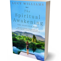 Tablet view of Seagull #11111 - Premade Health & Mind & Body Book Cover