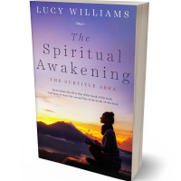 Tablet view of Chatelle #11115 - Premade Health & Mind & Body Book Cover