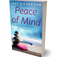 Tablet view of Viking #11167 - Premade Health & Mind & Body Book Cover