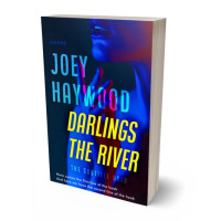 Tablet view of Ebony #11527 - Premade Erotica Book Cover