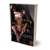 Tablet view of Gondola #11947 - Premade Erotica Book Cover