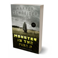 3D view of Birch #12434 - Premade Mystery & Thriller & Suspense Book Cover