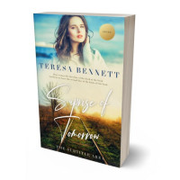 Tablet view of Outer Space #12806 - Premade Romance Book Cover