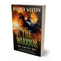 Tablet view of Di Serria #12937 - Premade Abstract Book Cover