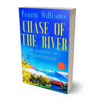 3D view of Confetti #12976 - Premade Literary Fiction Book Cover | BookCoverZone