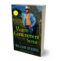 3D view of Premade Erotica Book Cover - Log Cabin