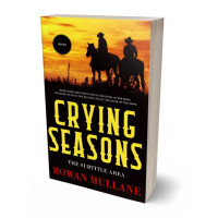 Tablet view of Saffron #13283 - Premade Action & Adventure Book Cover