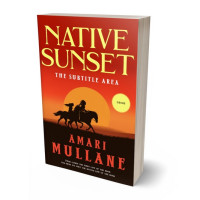 Tablet view of Creole #13293 - Premade Action & Adventure Book Cover