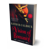 Tablet view of Steel Gray #13306 - Premade Erotica Book Cover