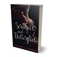 3D view of Baltic Sea #13349 - Premade Erotica Book Cover