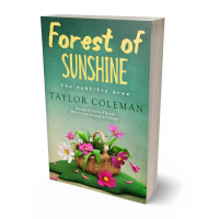 Tablet view of Oxley #13622 - Premade Fantasy Book Cover