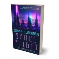 Tablet view of Big Stone #13867 - Premade Science Fiction Book Cover | BookCoverZone