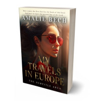 Tablet view of Cameo #14075 - Premade Abstract Book Cover