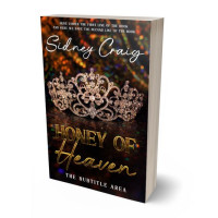 Tablet view of Night Rider #14247 - Premade Historical Book Cover