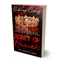 Tablet view of Terracotta #14250 - Premade Fantasy Book Cover | BookCoverZone