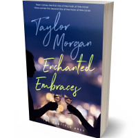 3D view of Cloud Burst #14856 - Premade Romance Book Cover