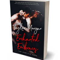 3D view of Premade Erotica Book Cover - Woodsmoke