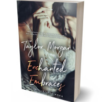 Tablet view of Ship Gray #14868 - Premade Erotica Book Cover