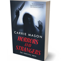 3D view of Careys Pink #14901 - Premade Horror Book Cover