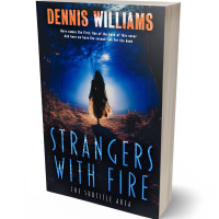 Tablet view of Mirage #15066 - Premade Abstract Book Cover