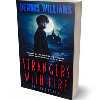 Tablet view of Firefly #15071 - Premade Abstract Book Cover