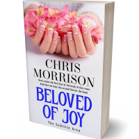 3D view of Bon Jour #15252 - Premade Romance Book Cover