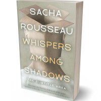 3D view of Nomad #15572 - Premade Abstract Book Cover