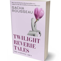 3D view of Lola #15584 - Premade Abstract Book Cover