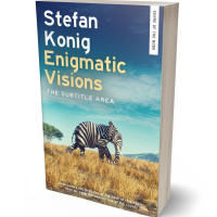 3D view of Premade Surreal Book Cover - Rainee