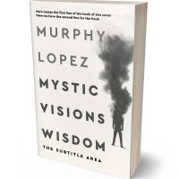 Tablet view of Fuscous Gray #15623 - Premade Abstract Book Cover