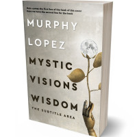 Tablet view of Ash #15624 - Premade Abstract Book Cover