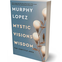 Tablet view of Slate Gray #15625 - Premade Abstract Book Cover