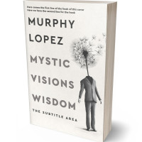 3D view of Pampas #15626 - Premade Abstract Book Cover