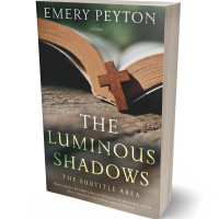 Tablet view of Armadillo #15729 - Premade Religion & Spirituality Book Cover