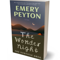 3D view of Armadillo #15736 - Premade Mystery & Thriller & Suspense Book Cover