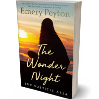 3D view of Premade Teen & Young Adult Book Cover - Night Rider